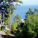 Golden Beach, hegyek